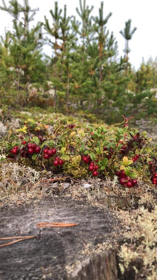 Hotel Glampingtaelt Torsby Esterno foto
